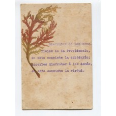 ANTARTIDA ARGENTINA 1902 TARJETA POSTAL ISLA DE AÑO NUEVO TIERRA DEL FUEGO CONFECCIONADA CON ALGAS, HUBO ALLI VARIAS EXPEDICIONES CIENTIFICAS FECHA TENTATIVA